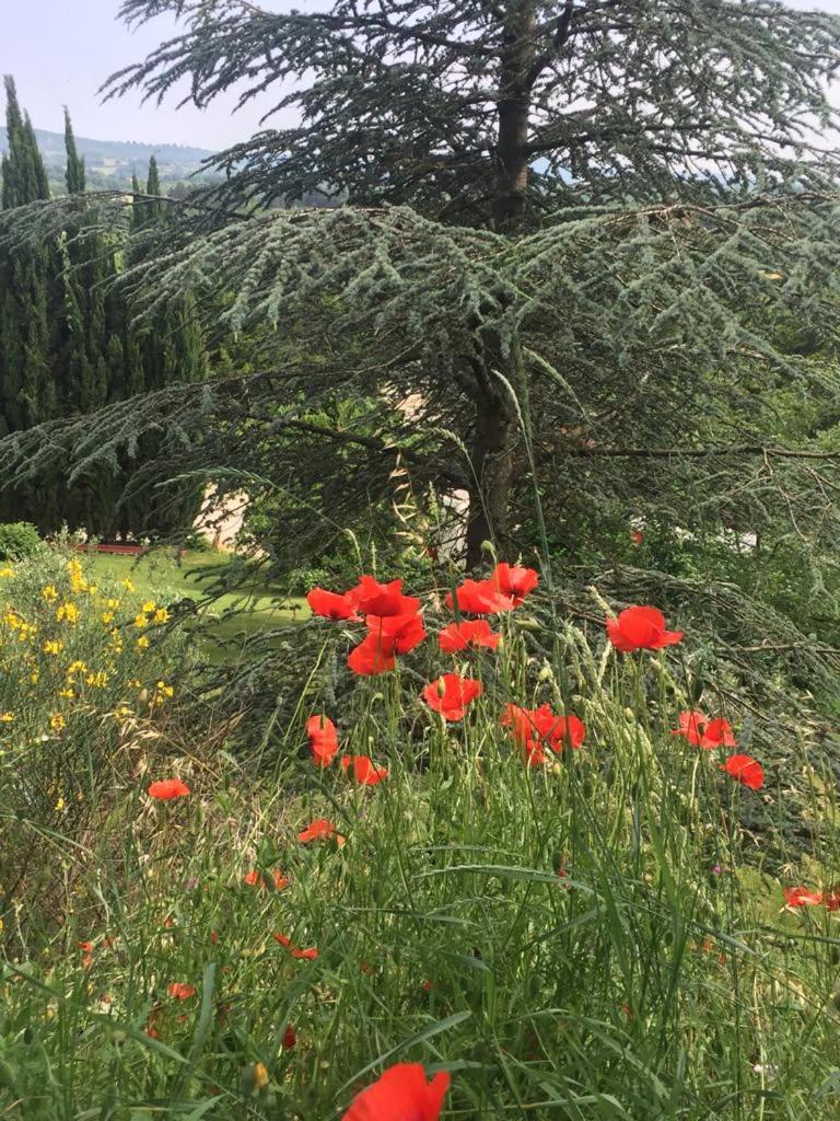 Casale Sant'Elia - Housity