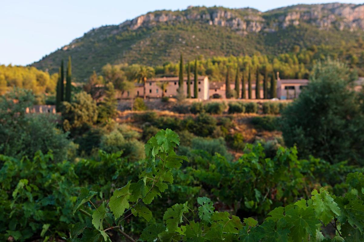 Paisaje cerca de este hotel