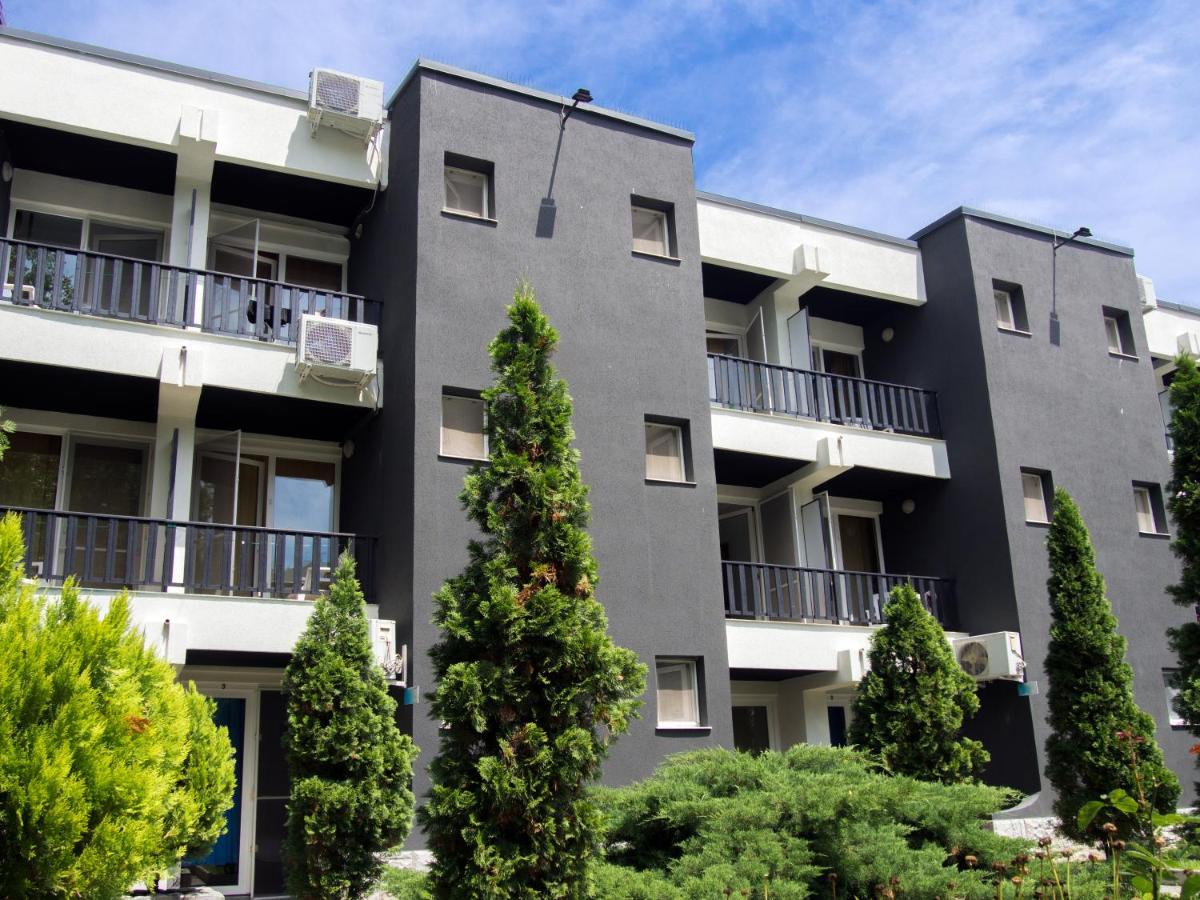 Complex Paloma Coral - Housity