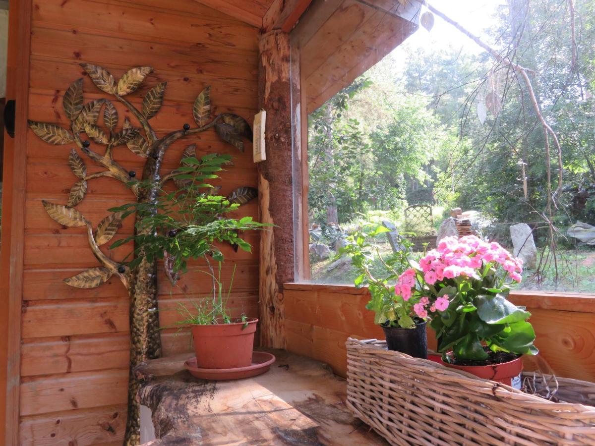 Murmures d'Arbres - Housity