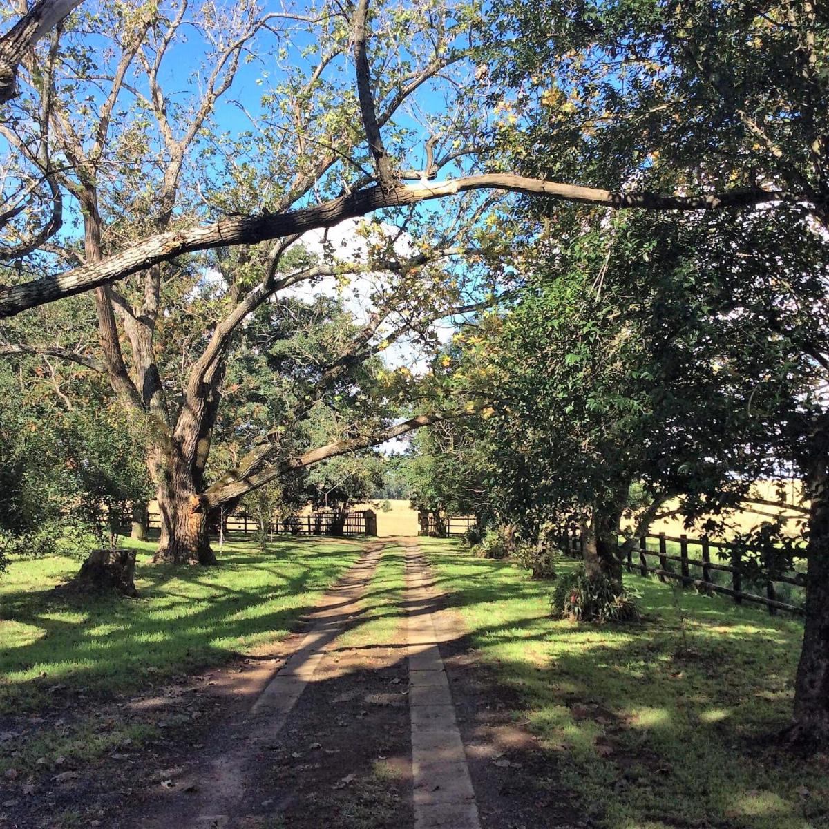 Petra's Country Guesthouse - Housity