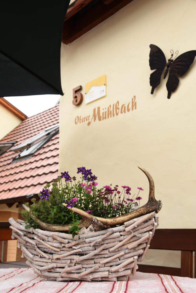 Ferienappartement Balik - Housity