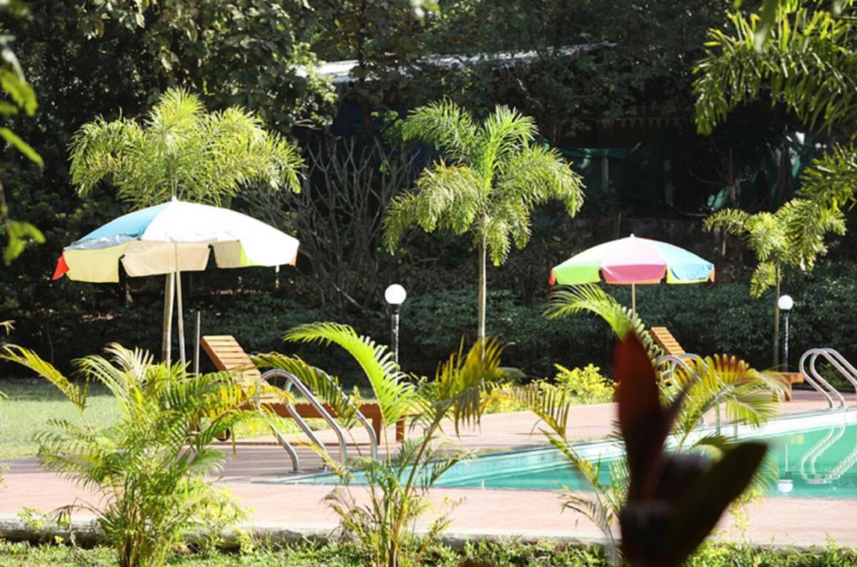 Nature Trails Sajan, Vikramgad - Housity