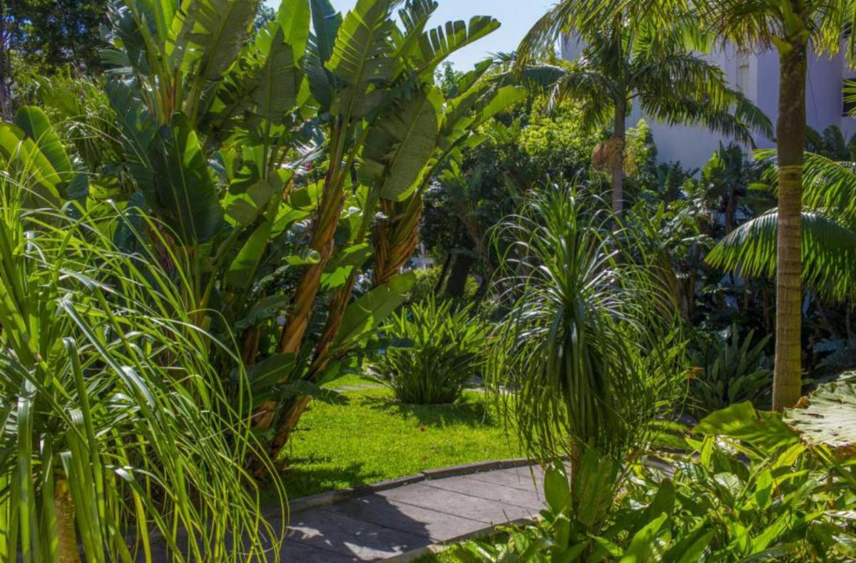 Um jardim no exterior de Dorisol Buganvilia Studio Hotel