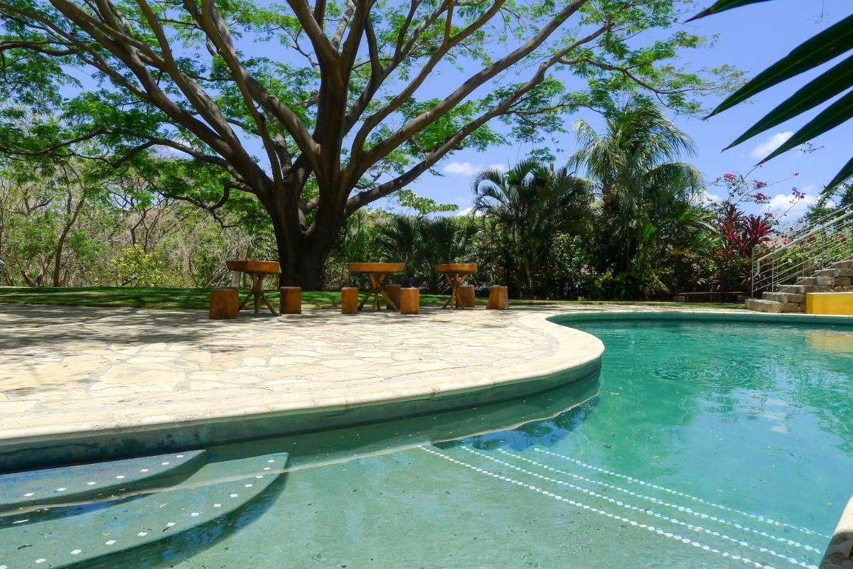 Beautiful Studio Suite with Pool - Short walk to Beach - Housity