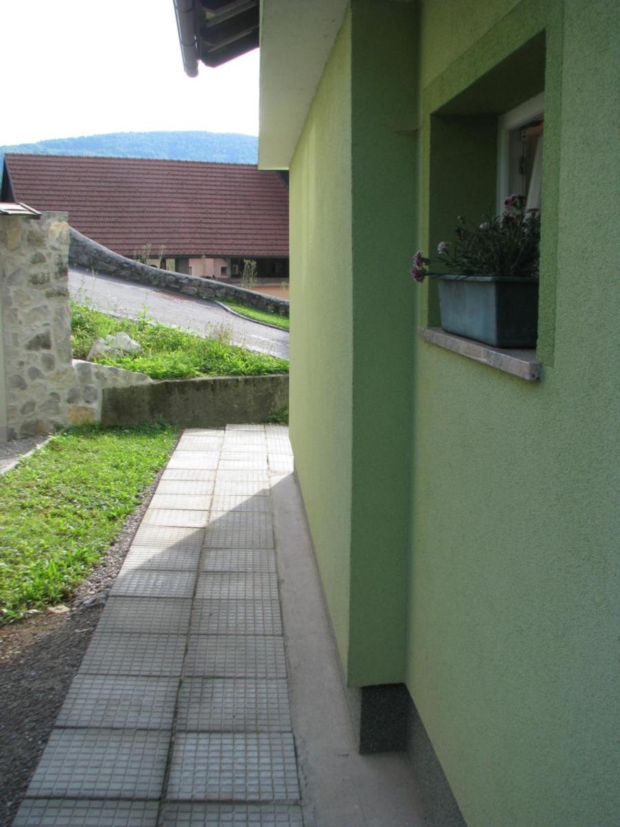 Apartma Juha - - Housity