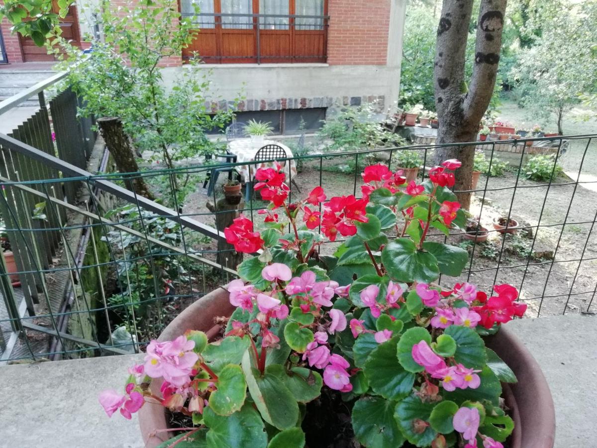 Casa Della Nonna - Housity