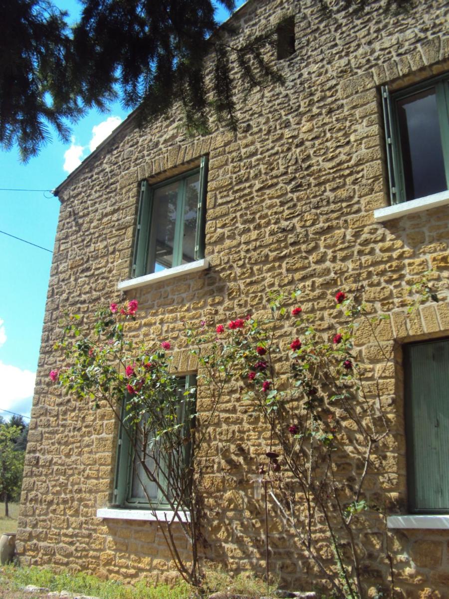 El gato negro - Housity