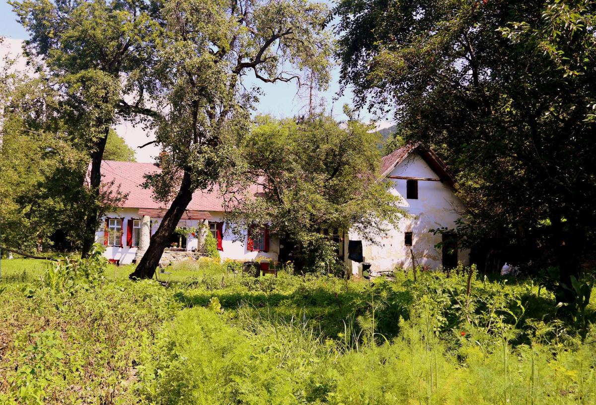 Casa Memoriala George Stephanescu - Housity
