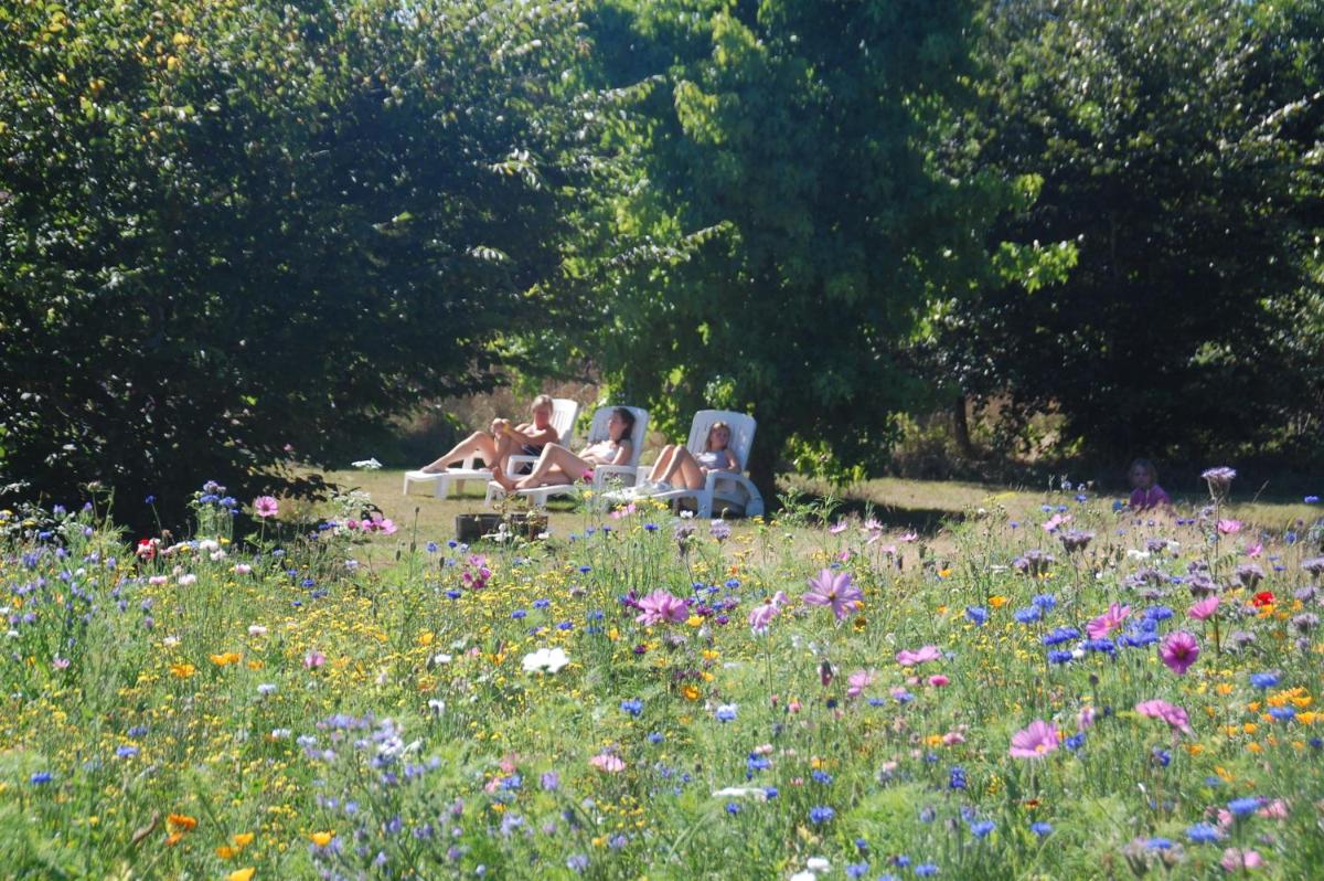 Les Papillons - Housity