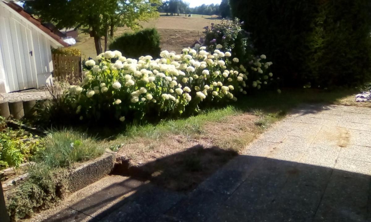 Sommerhalde - Housity