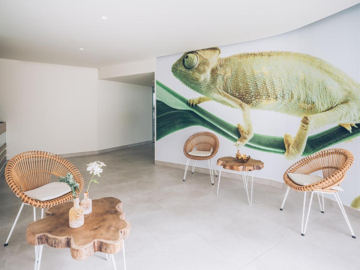 Imagen de la galería de Iberostar Selection Sábila - Adults Only, en Adeje
