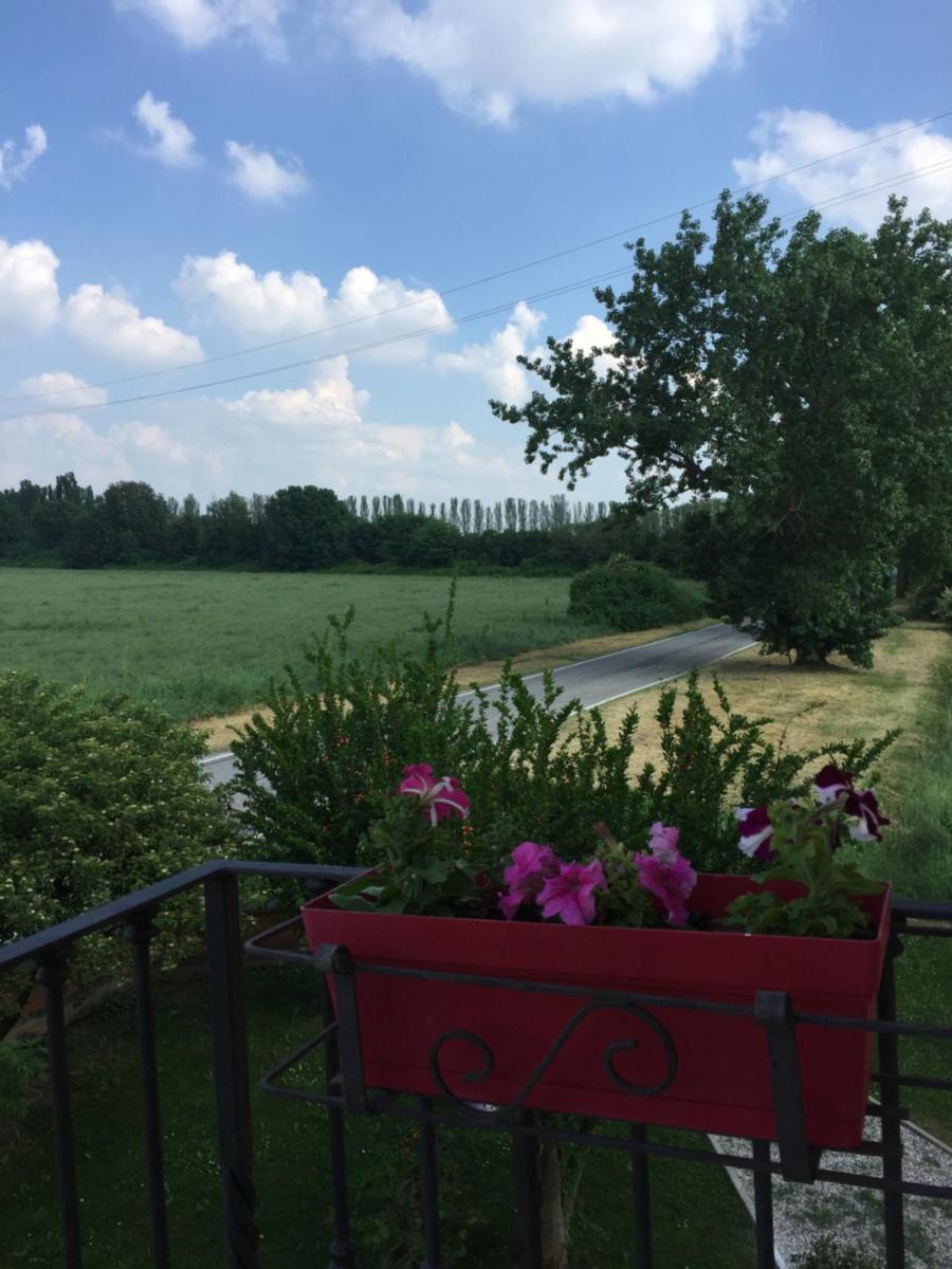 IL "Green " IN GIARDINO - Housity