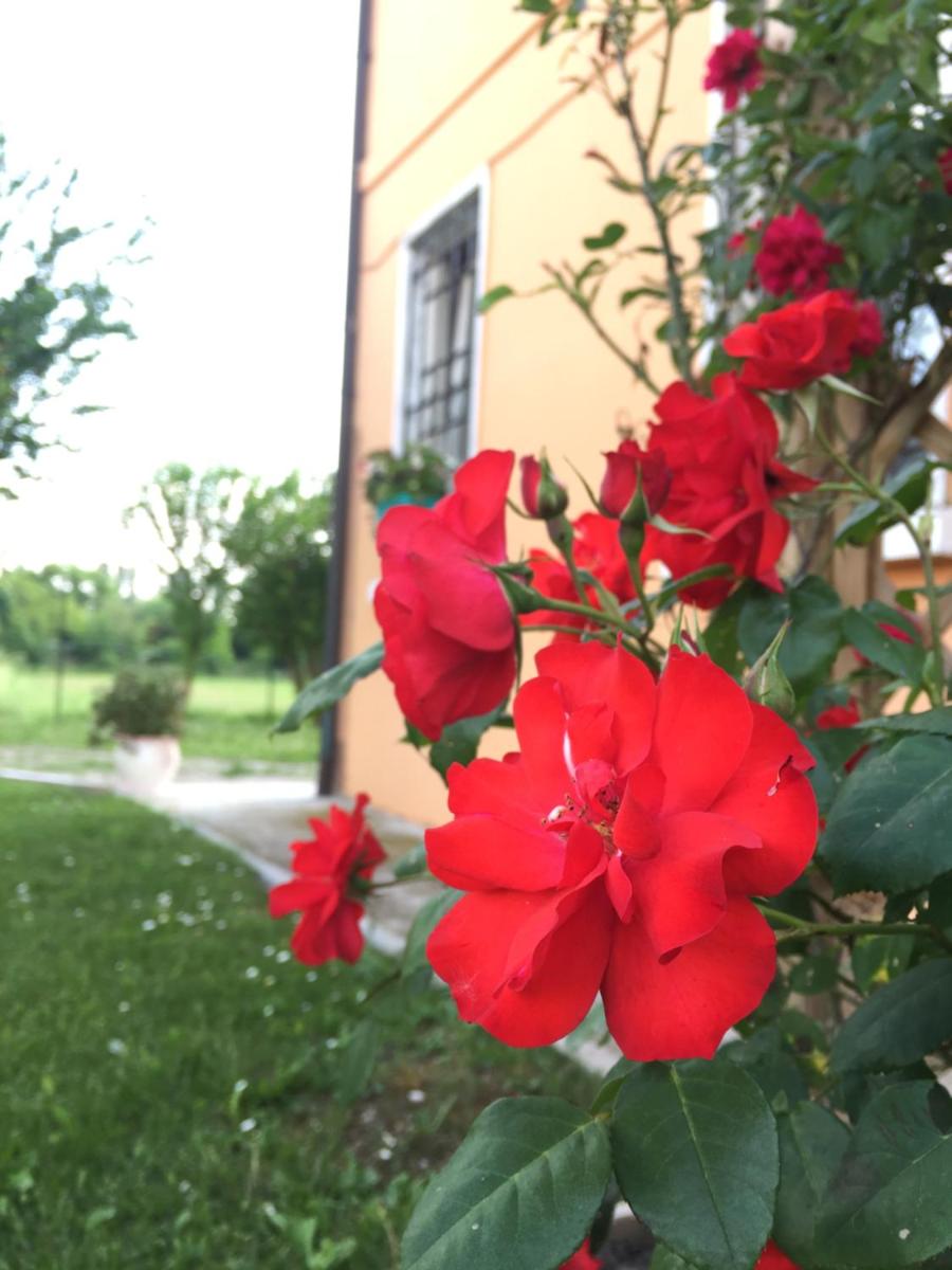IL 