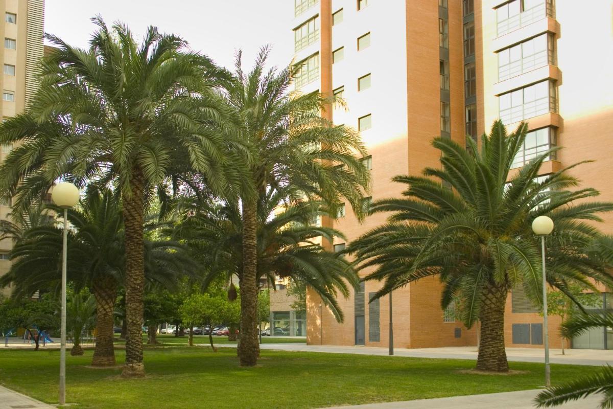 Apartamentos Plaza Picasso - Housity
