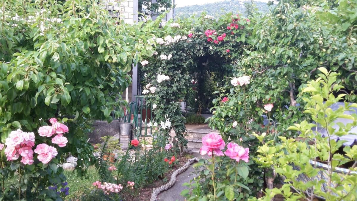 Suitetrails - Apartments Frkovic