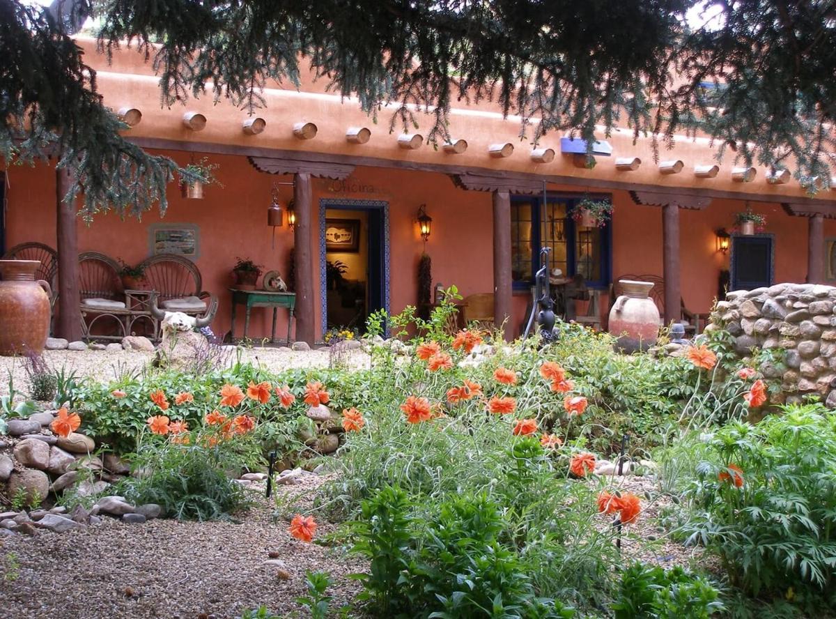 Adobe and Pines Inn Bed and Breakfast - Housity