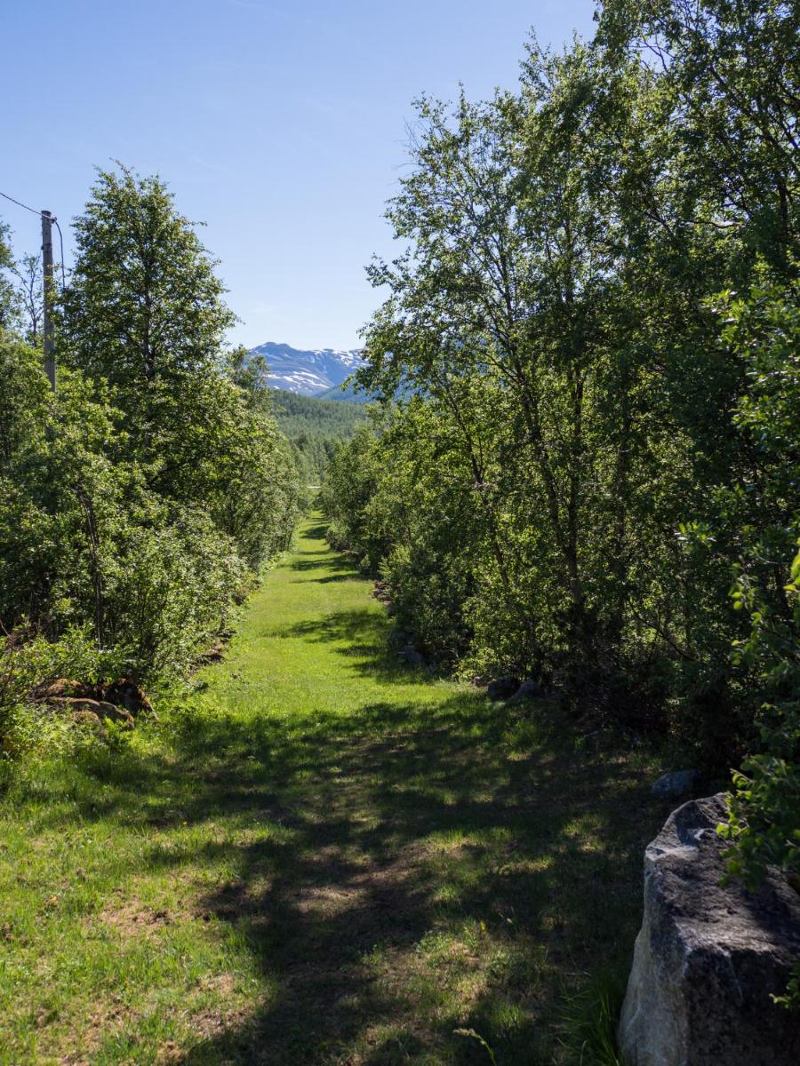 Maristuen Fjellferie - Housity