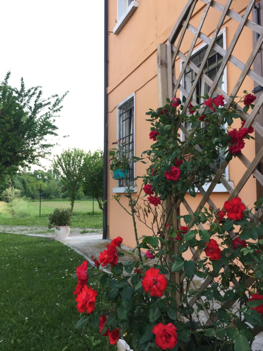 IL 