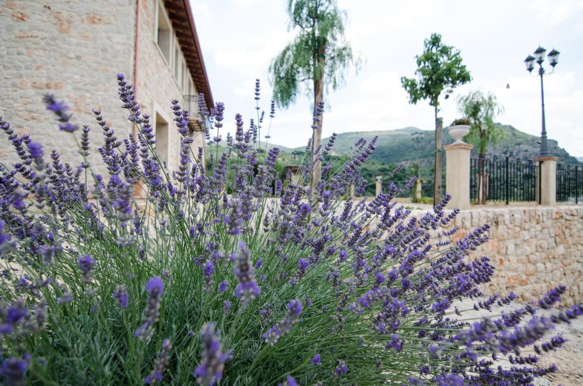 Casale Madeccia - Housity
