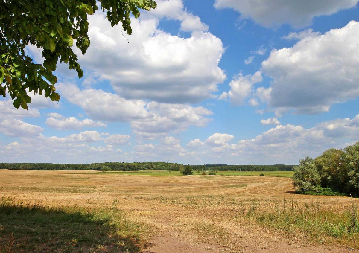 Ferienwohnungen Roggentin SEE 9740 - Housity