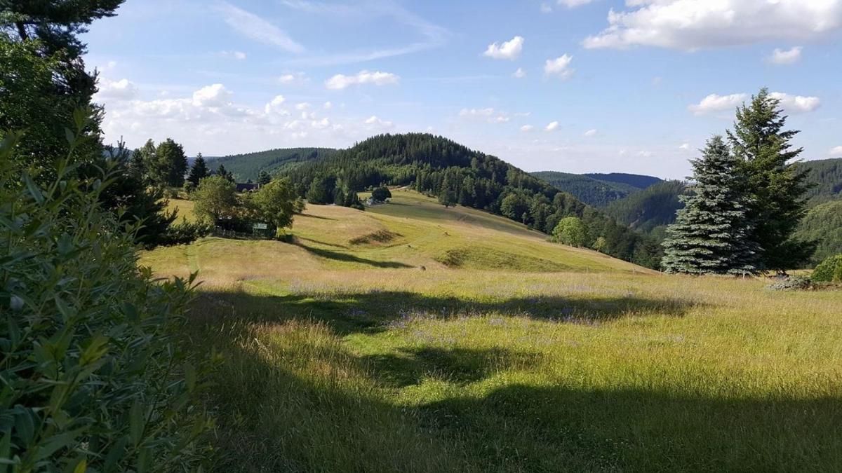 Apartments und Bistro Zum Glasmacher - Housity