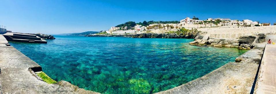 Le Grotte - Housity