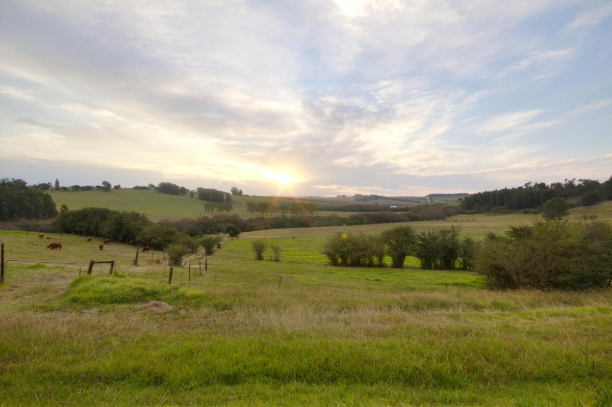 Jolo Farm - Housity