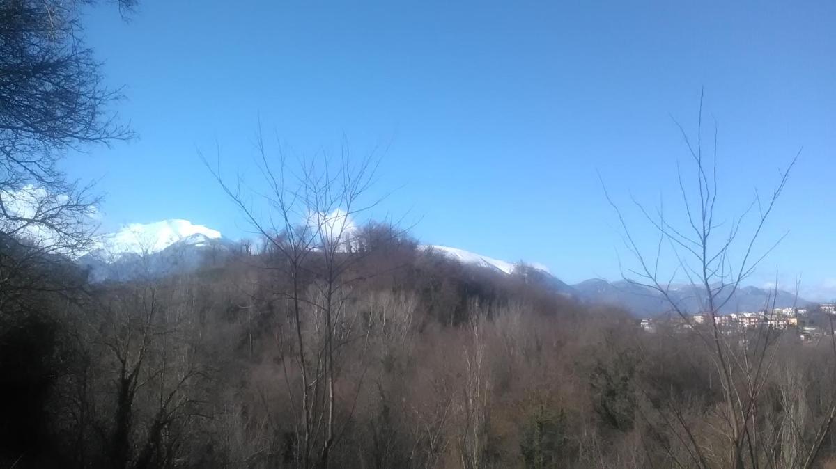 Il Gelso Rosso - Housity