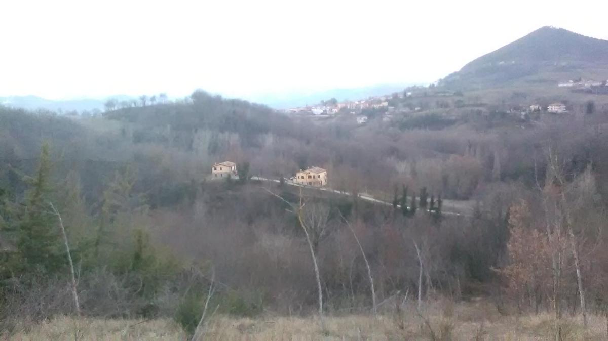 Il Gelso Rosso - Housity