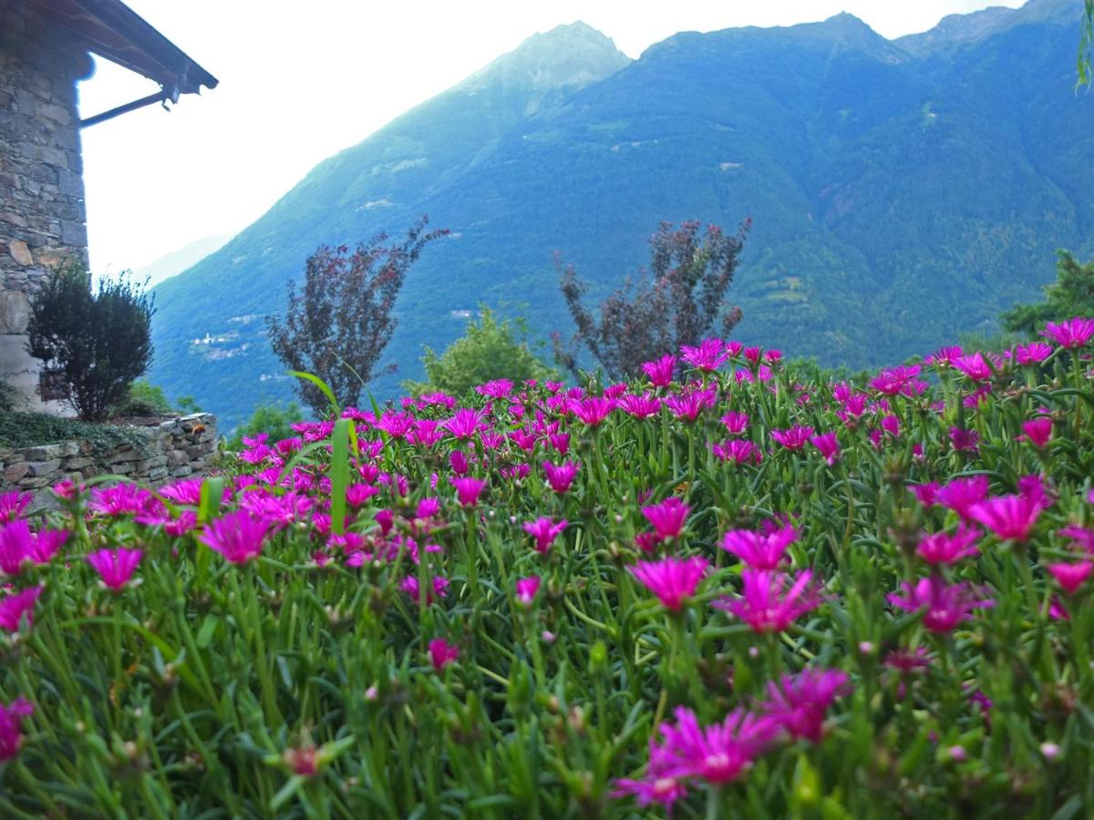 Agriturismo Al Castagneto - Housity