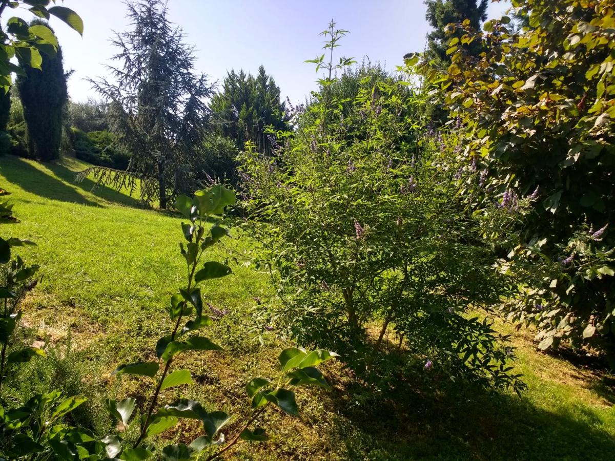 villa terrefort - Housity