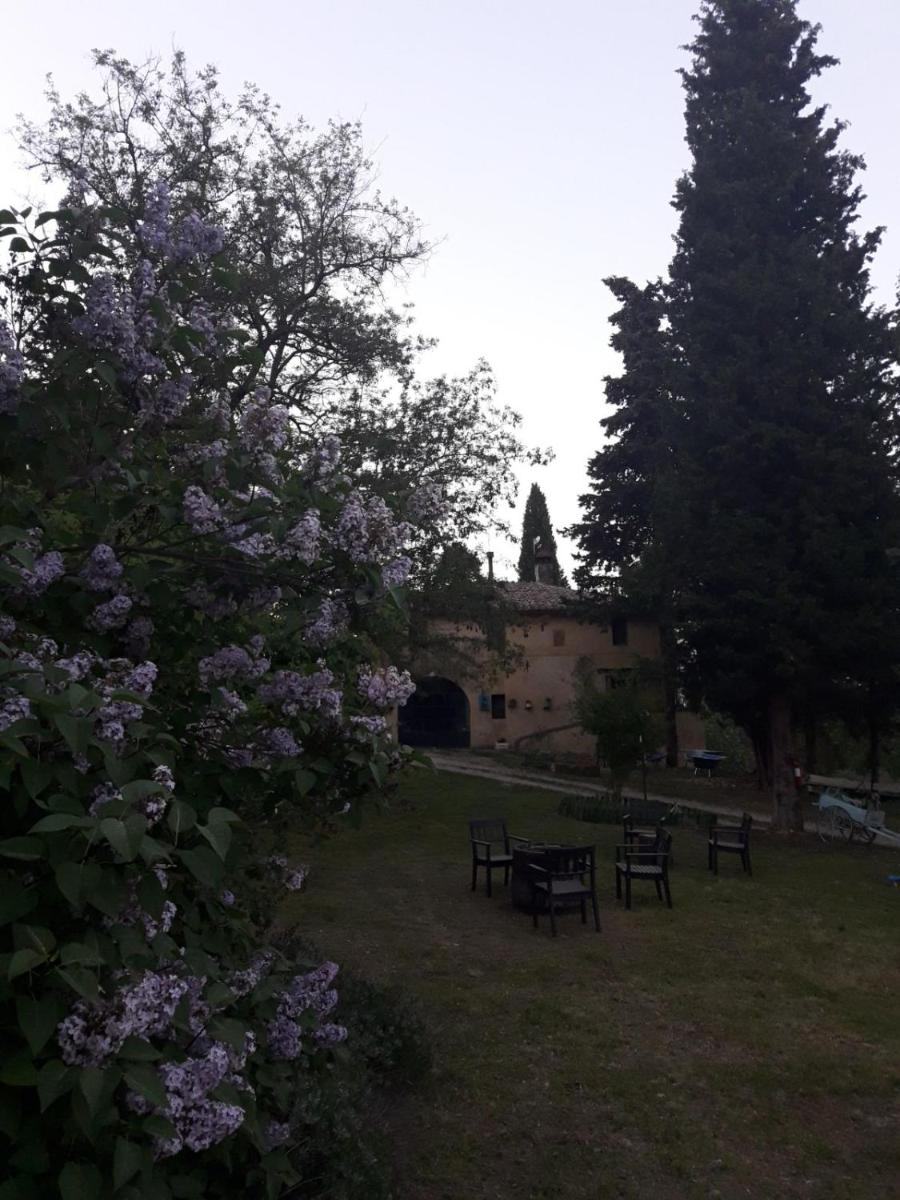 B&B Mediterrando - Housity