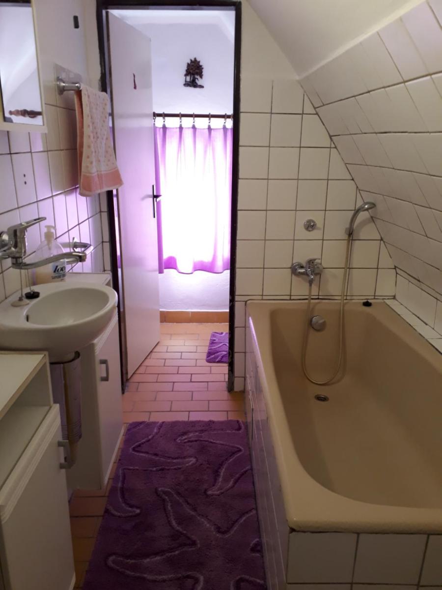 Pension u Adršpachu - Dana Tyšerová - Housity