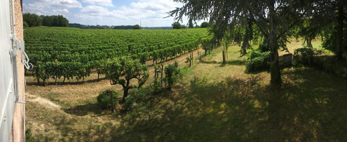 Mirande Montagne-Saint Emilion - Housity