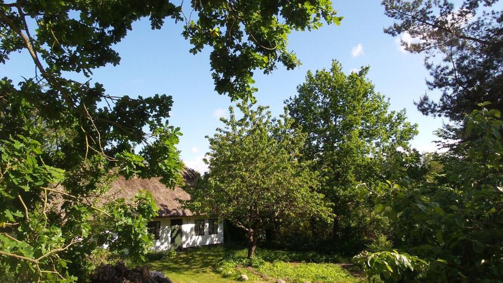 Suitetrails - GOGGE's HUS