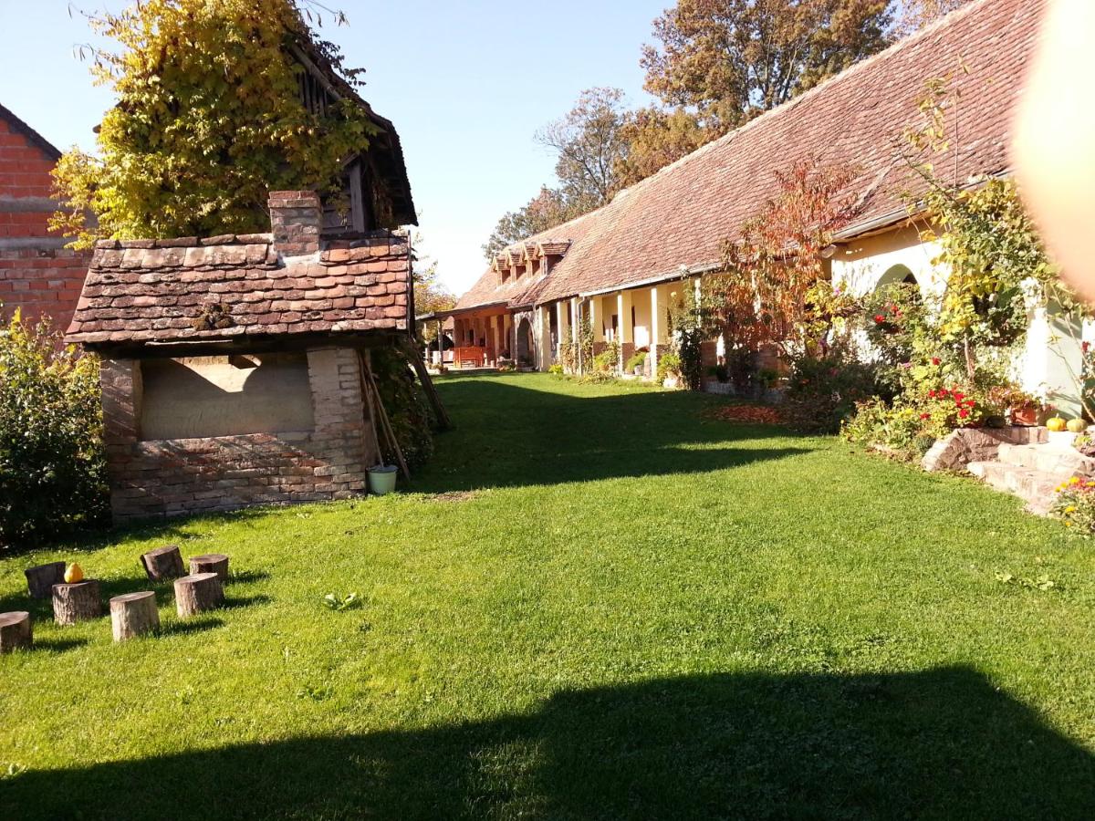Snašini kućari - Housity