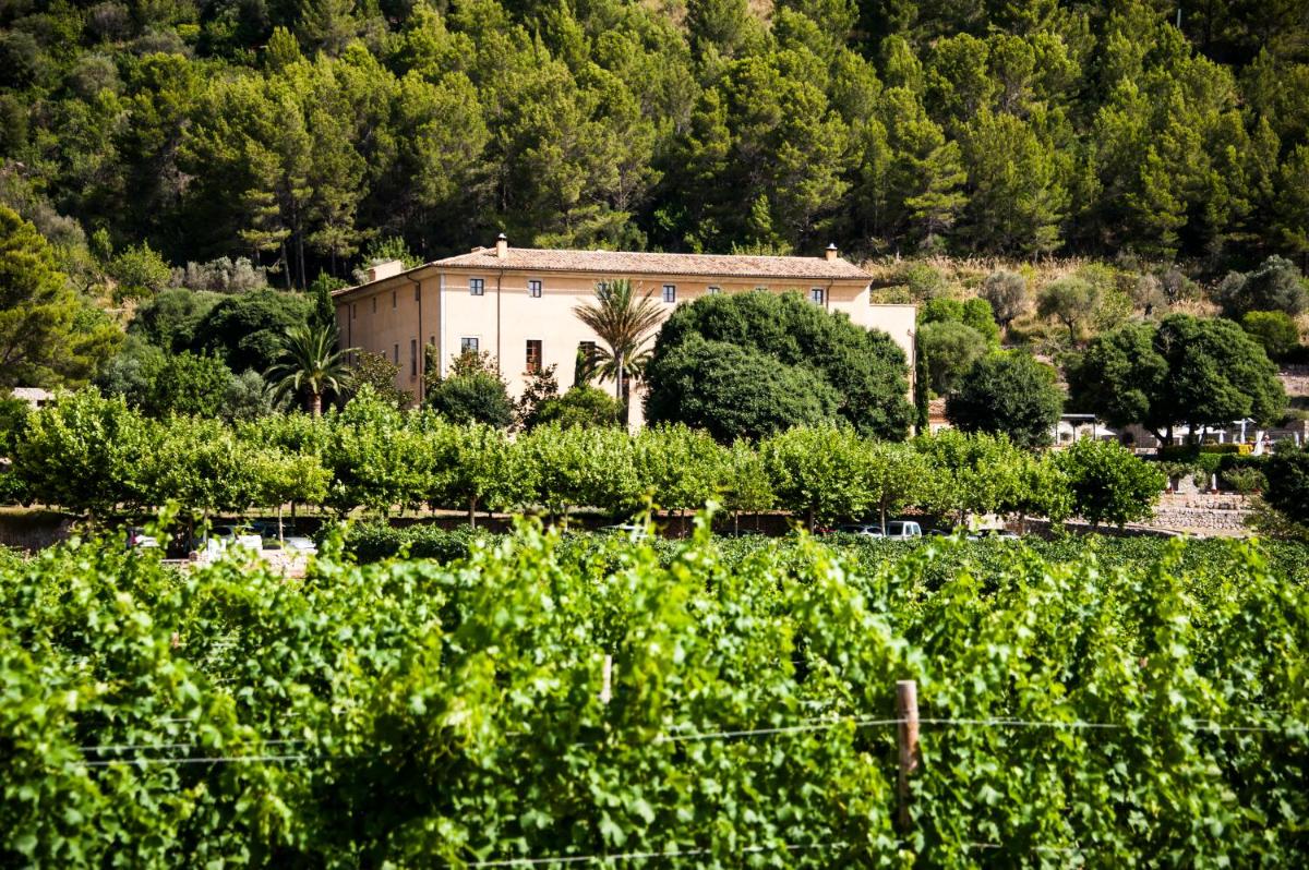Paisaje cerca de este hotel