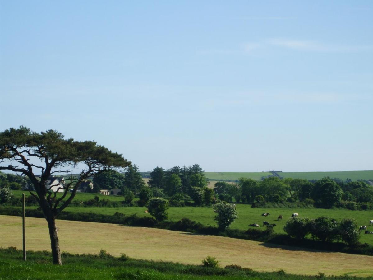 The Brown Hen Guest Accommodation - Housity