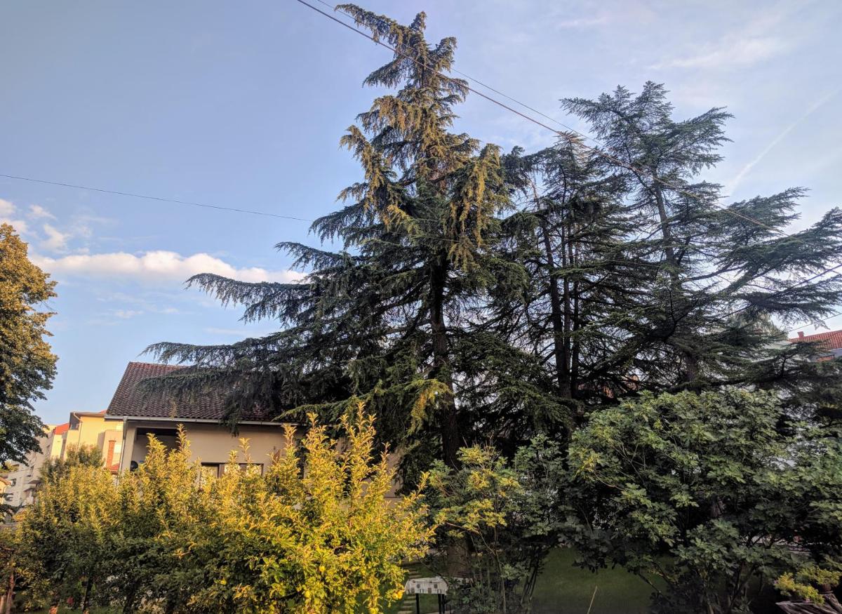 Cvijićeva 1 - Housity