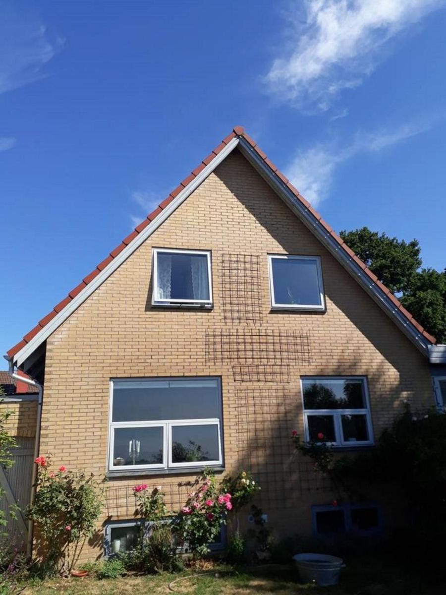Rosenhuset - Housity