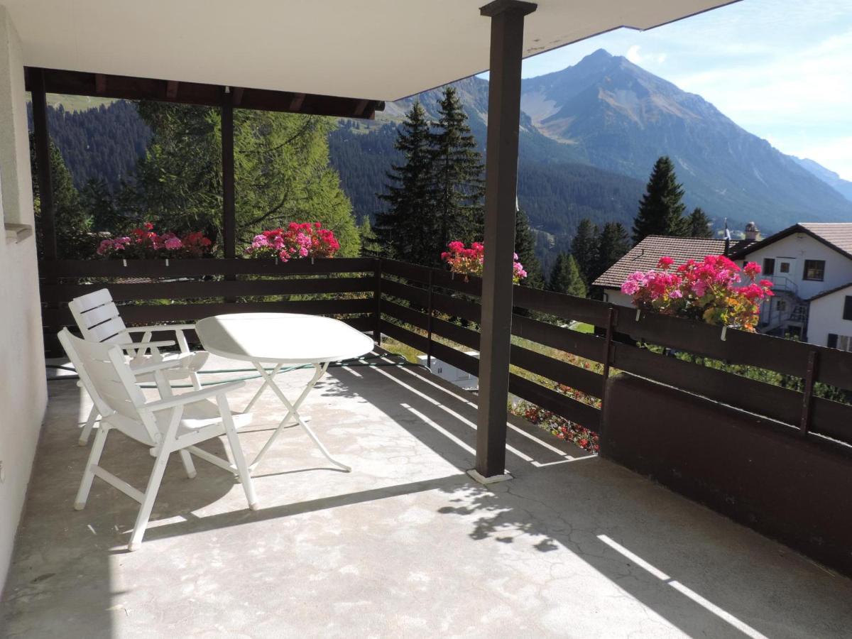 Barlangia (455 Ho) - Housity