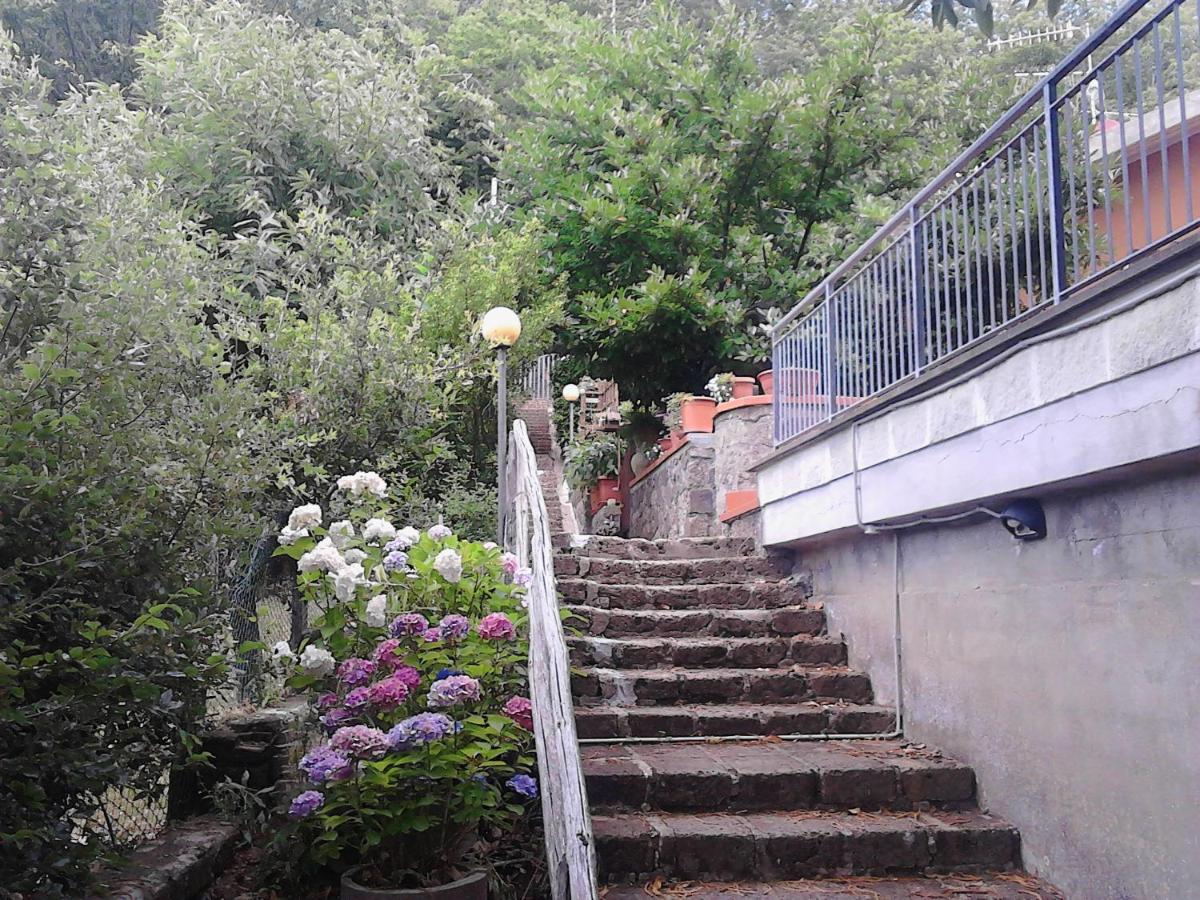 Casa Vacanze Il Castagneto - Housity