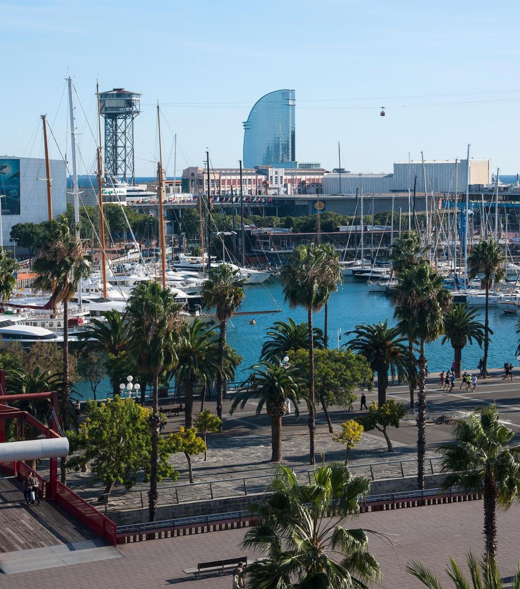un puerto deportivo con palmeras y barcos en un puerto en Serras Barcelona, en Barcelona