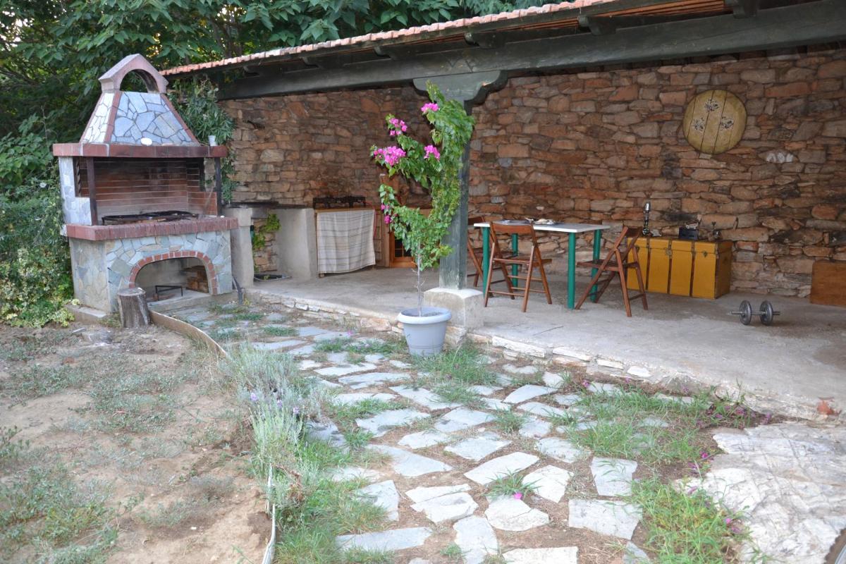 Amigdaleonas House - Housity