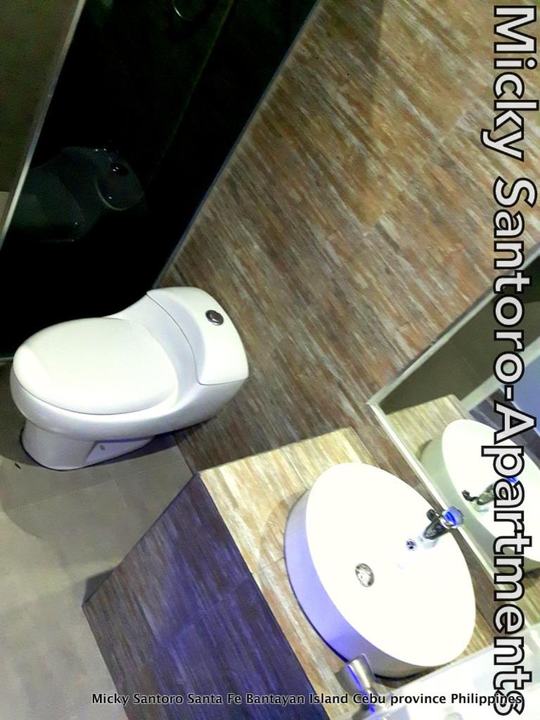 Micky Santoro -Apartments - Housity