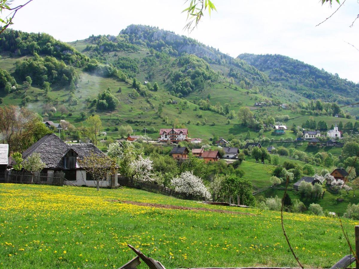 Suitetrails - Casa Claudiu