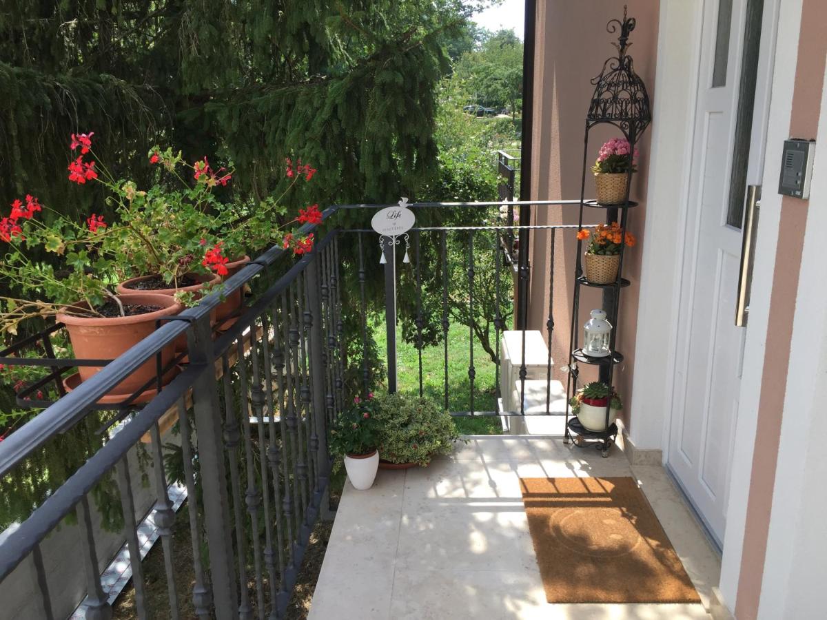 Middle Istra - Housity
