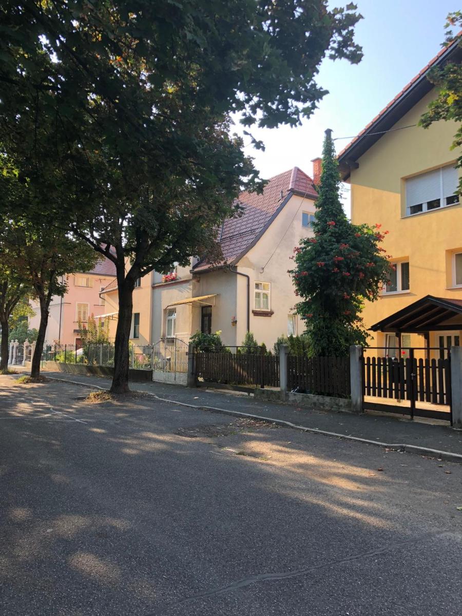 apartma Delavska - Housity