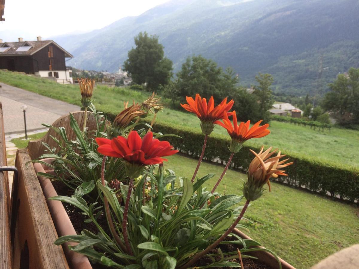 Chez Moillet - Housity